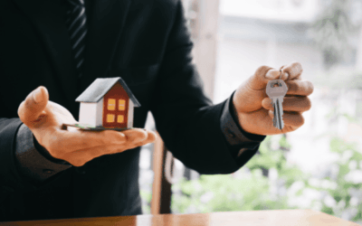 Tài Sản Của Doanh Nghiệp – Nền Tảng Của Sự Phát Triển Và Quản Lý Kế Toán